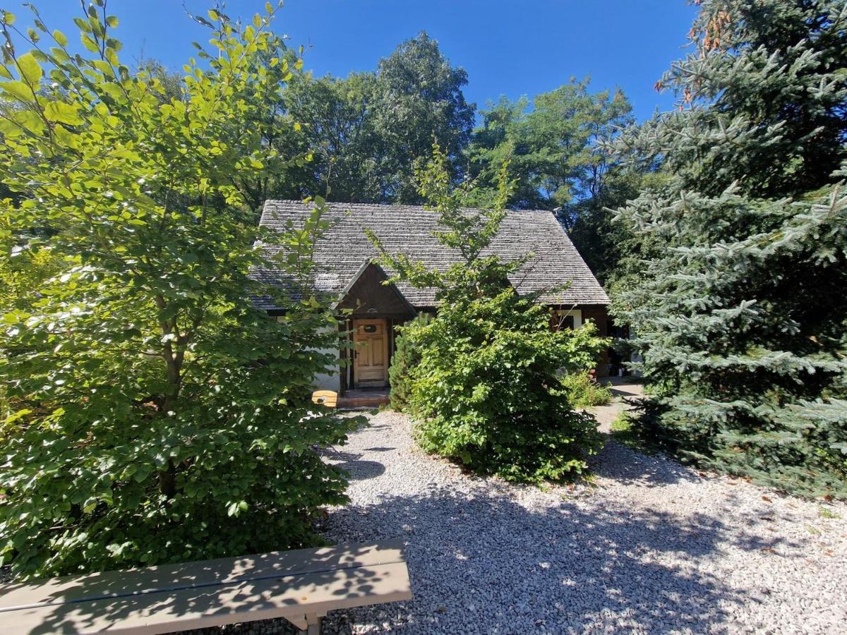 Oberza Pod Zlotym Prosiakiem Locanda